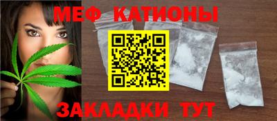 индика Гатчина