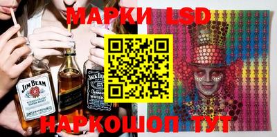 индика Гатчина