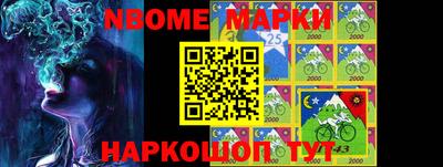 индика Гатчина
