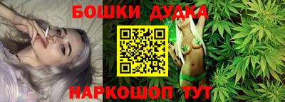 индика Гатчина