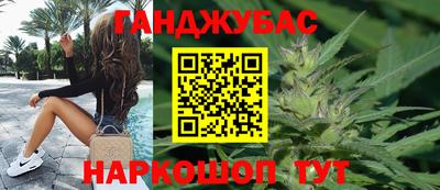 индика Гатчина
