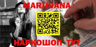 индика Гатчина