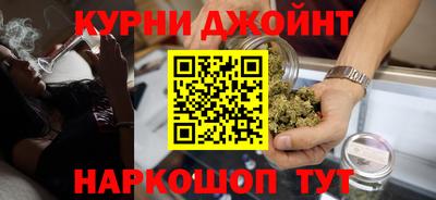 индика Гатчина