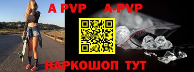 индика Гатчина
