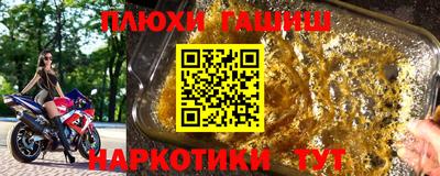 индика Гатчина