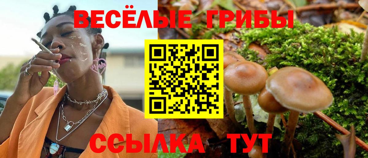 Псилоцибиновые грибы мицелий  Вход с VPN  Псилоцибиновые грибы Psilocybine cubensis  Семёнов 
